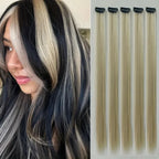 20" Clip-In Hair Extensions