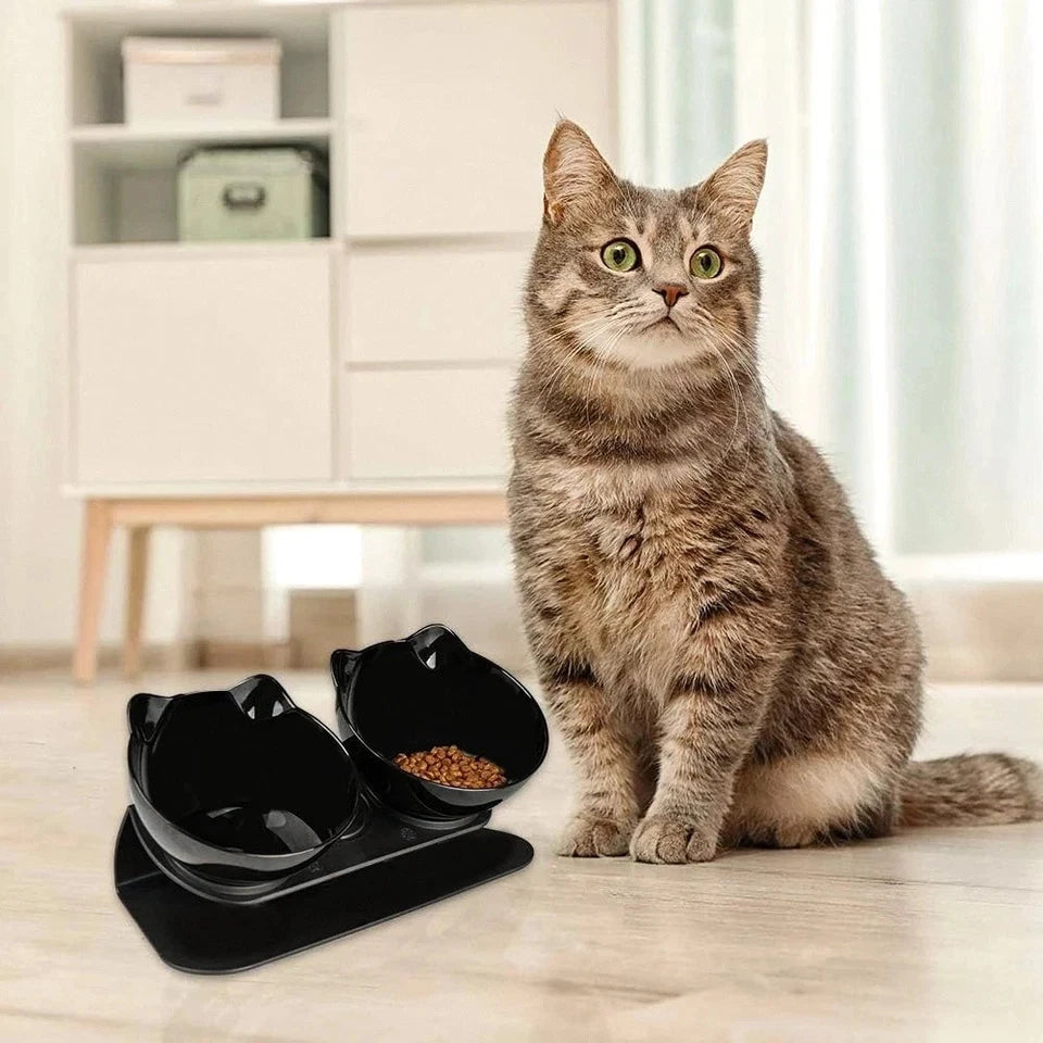 15° Tilted Elevated Cat Bowl