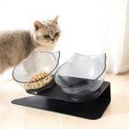 15° Tilted Elevated Cat Bowl