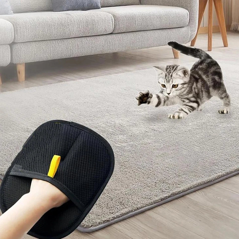 Pet Hair Removal Gloves Brush