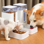 2-in-1 Automatic Pet Feeder